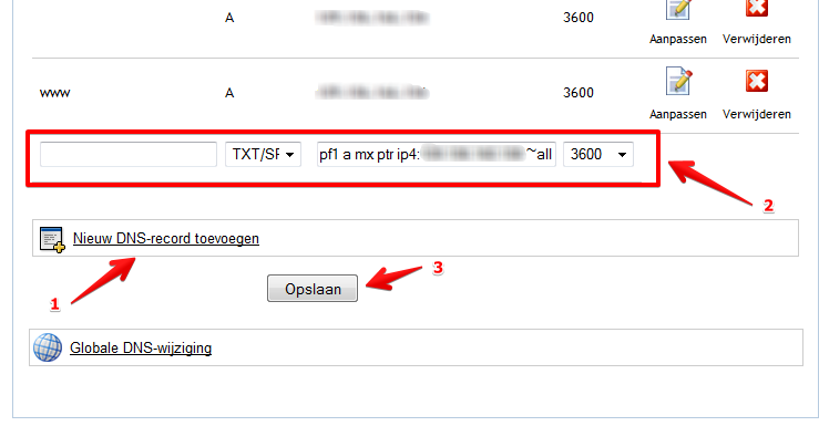 vip.nl DNS zone editor interface